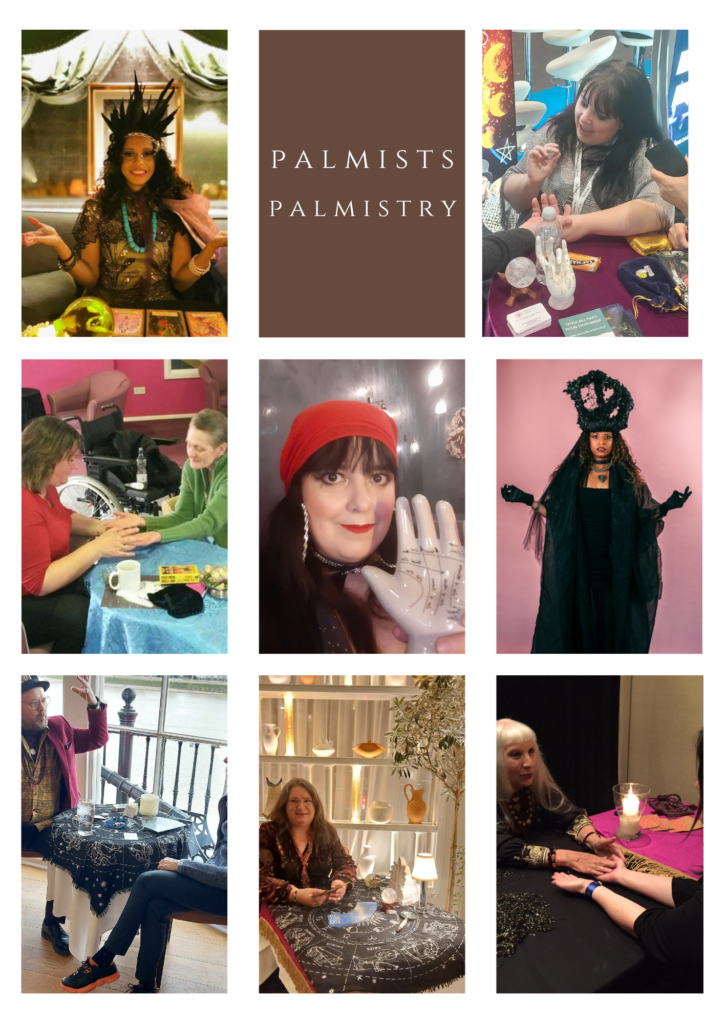 plamistry unbranded page 2